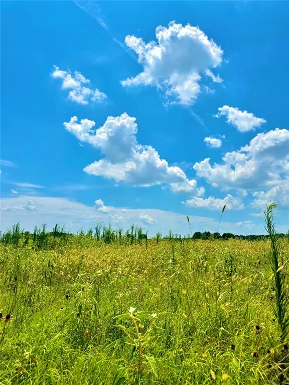 TBD Tracts 23 & 24 County Rd 3644, Saltillo, TX 75471