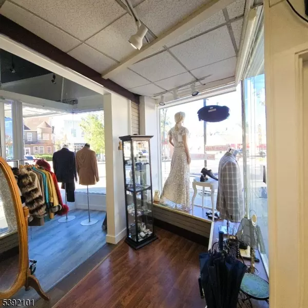 Morristown Town, NJ 07960,1 Elm