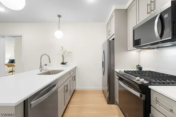 Morristown Town, NJ 07960,70 Ridgedale Ave #205