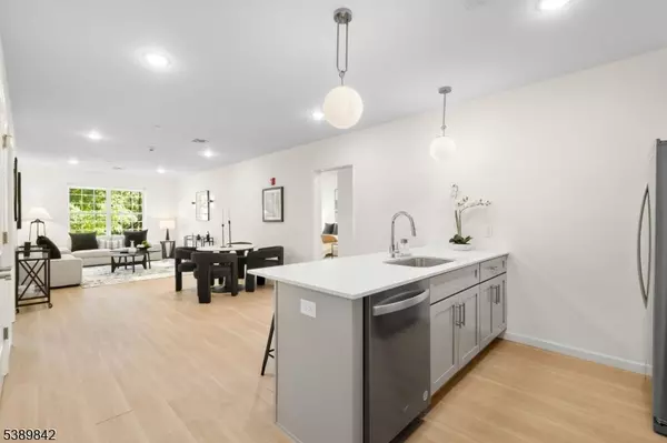 Morristown Town, NJ 07960,70 Ridgedale Ave #205