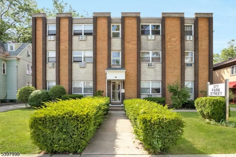 Hackensack City, NJ 07601,377 Park St