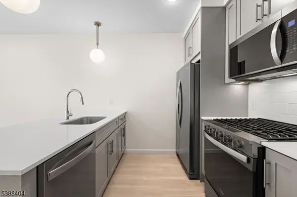 Morristown Town, NJ 07960,70 Ridgedale #204