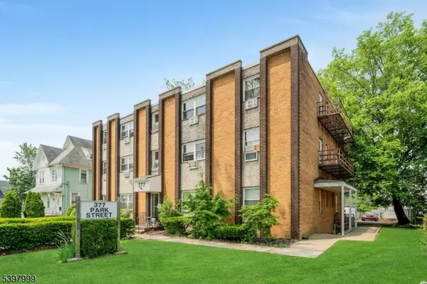 Hackensack City, NJ 07601,377 Park St