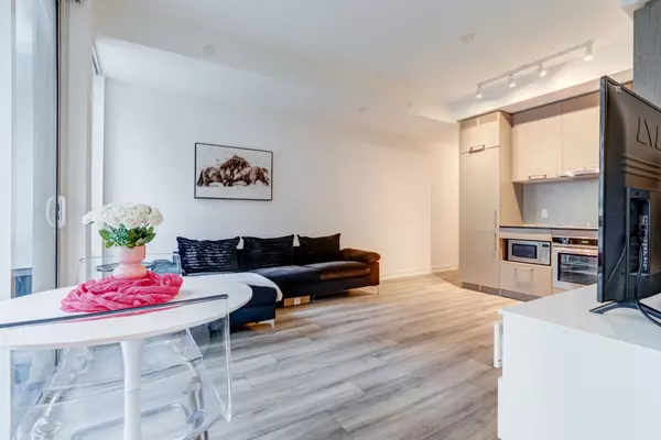 Toronto C01, ON M5V 0P1,87 Peter ST #1713