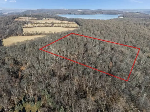 Harmony Twp., NJ 07882,0000 Harmony Lopat Line