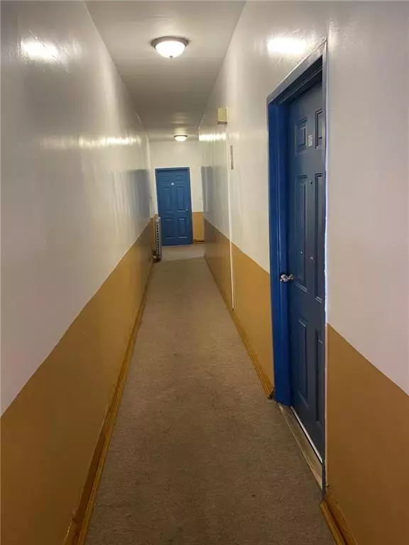 Brooklyn, NY 11208,321 Milford ST