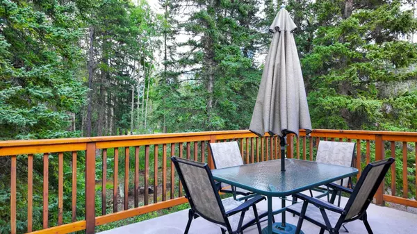 Canmore, AB T1W1S5,908 Larch PL