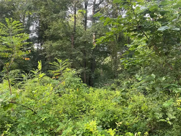 TBD Fm-16, Winona, TX 75792