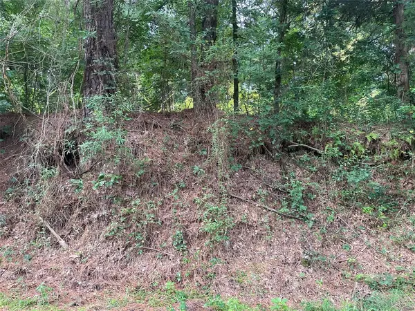 TBD Fm-16, Winona, TX 75792