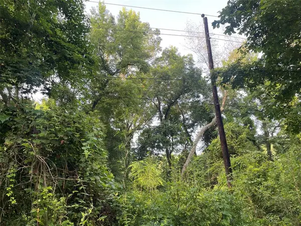 TBD Fm-16, Winona, TX 75792