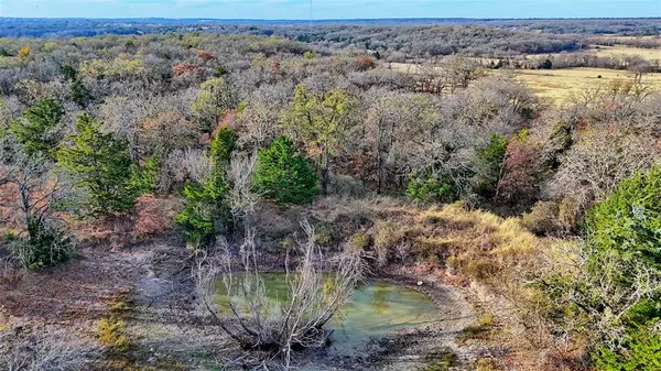 Montague, TX 76251,000 Carminati