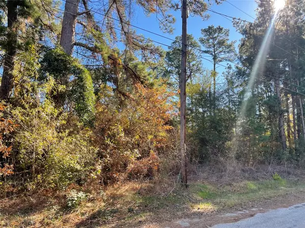 Frankston, TX 75763,0 Philip Place