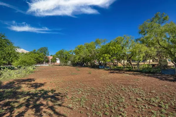 Brady, TX 76825,0000 Mesquite