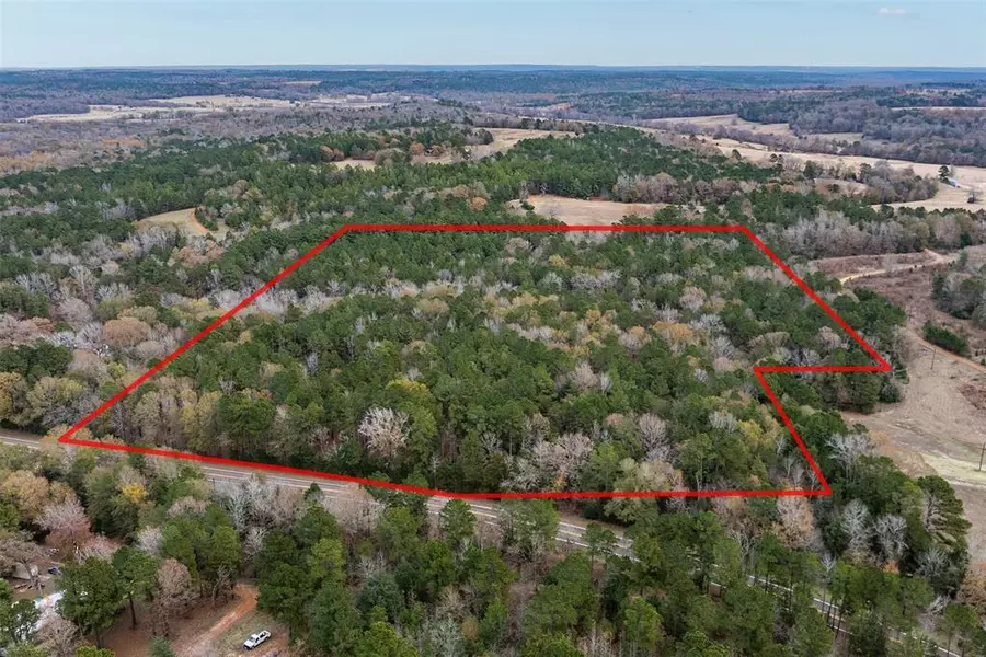 14770 FM 315, Palestine, TX 75803