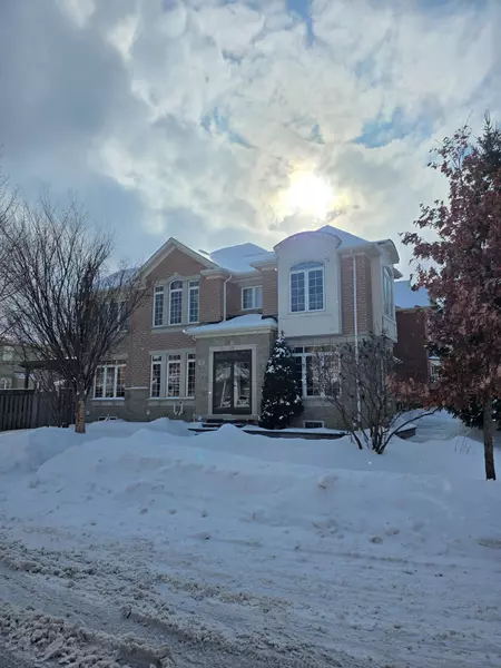39 Begonia CRES #Bsmt, Brampton, ON L7A 0M6