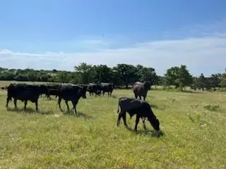 Alvord, TX 76225,1480 CR-1180