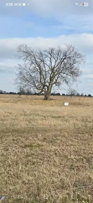 Dike, TX 75482,lot 8 County Road 3512