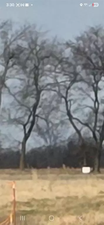 Dike, TX 75482,lot 8 County Road 3512