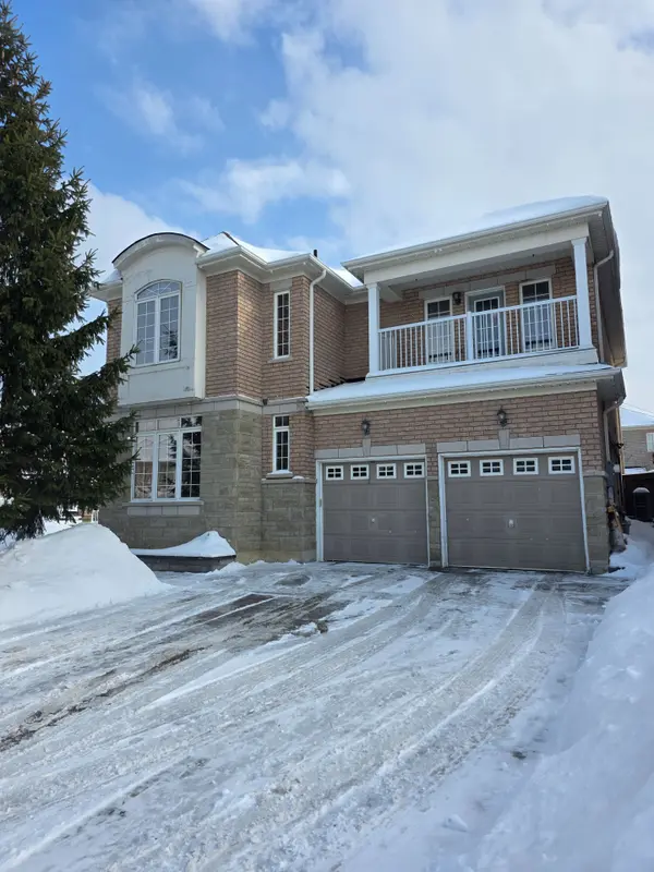 Brampton, ON L7A 0M6,39 Begonia CRES #Bsmt