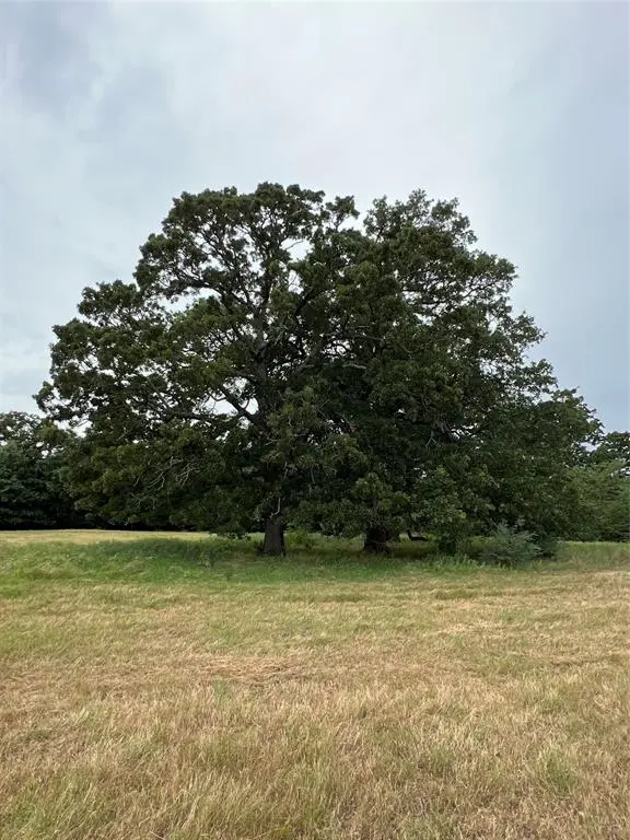 TBD County Road 3515, Dike, TX 75437