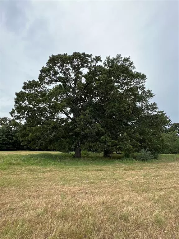 Dike, TX 75437,TBD County Road 3515