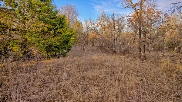 Sunset, TX 76270,1943 Lakeridge