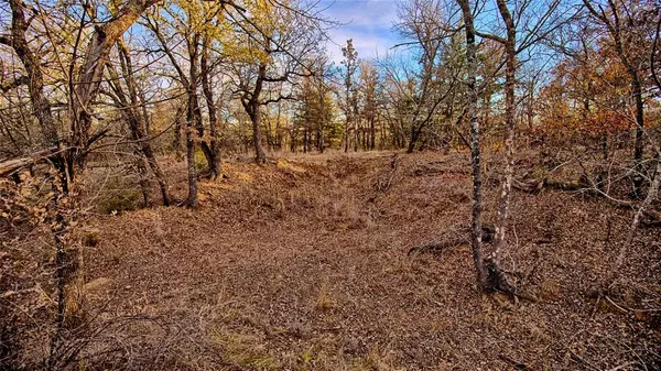 Sunset, TX 76270,1943 Lakeridge