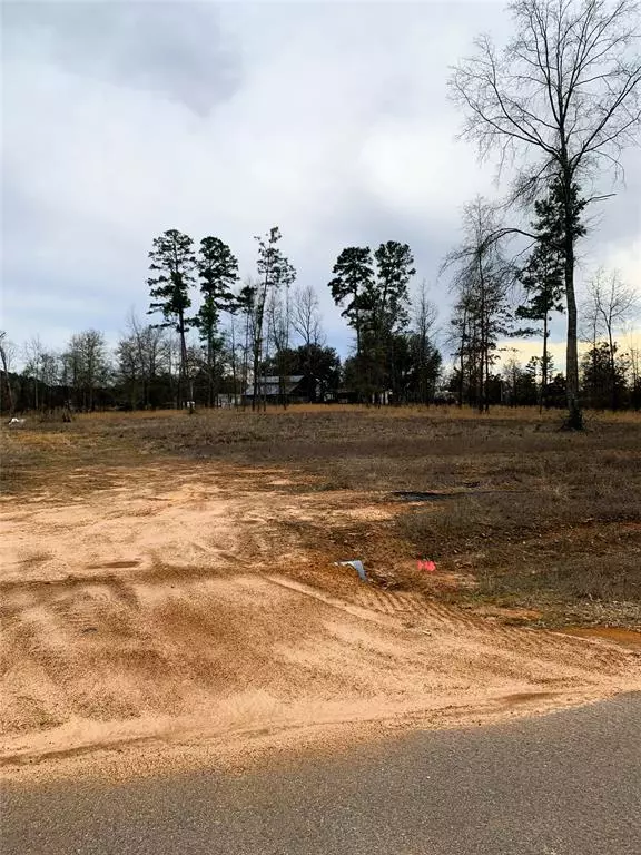 Benton, LA 71006,110 Maverick Lane