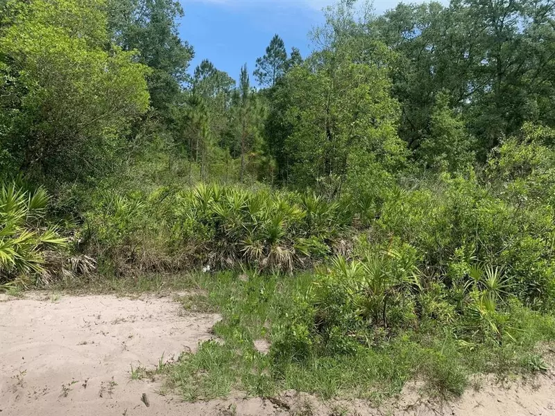 0 County RD 54 E, Kathleen, FL 33849