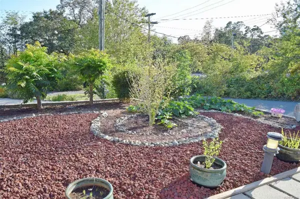 4037 Nelthorpe St, Saanich, BC V8X 2A2