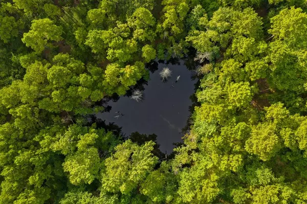 Gilmer, TX 75645,8124 Locust Road