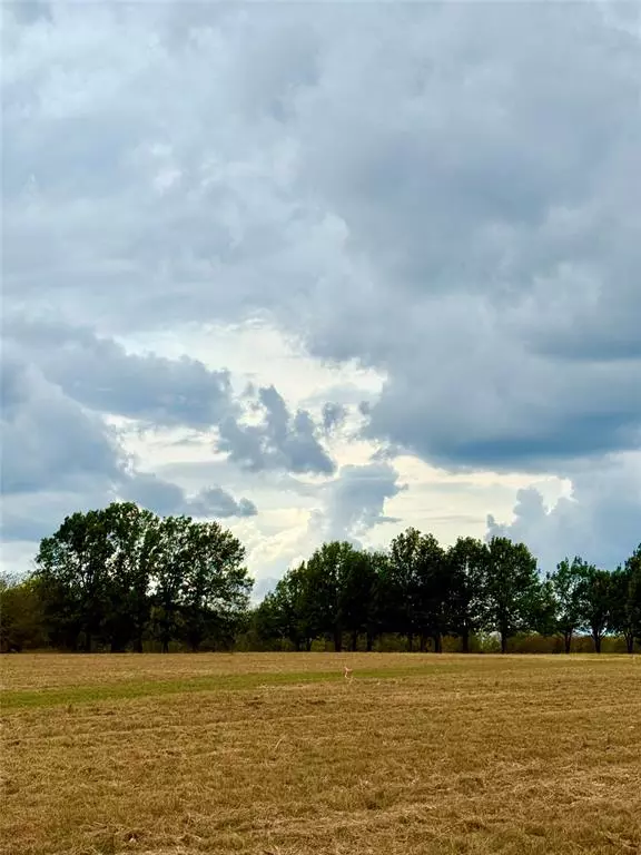 Wills Point, TX 75169,TBD Lot 12 County Road 3811