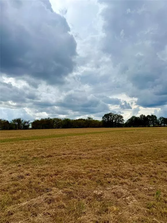 Wills Point, TX 75169,TBD Lot 12 County Road 3811