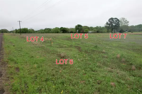 Winnsboro, TX 75494,TBD Lot 7 County Road 4286