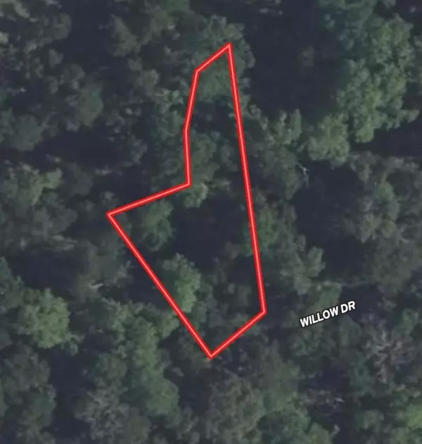 Wills Point, TX 75169,Lot 118 Willow Dr