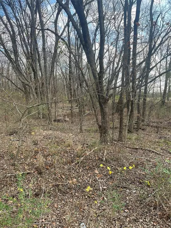 Roxton, TX 75477,N/A Jackson Avenue