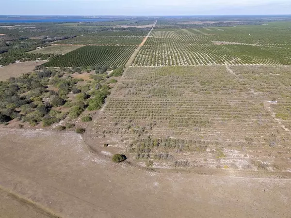 Avon Park, FL 33825,3073 CR 627