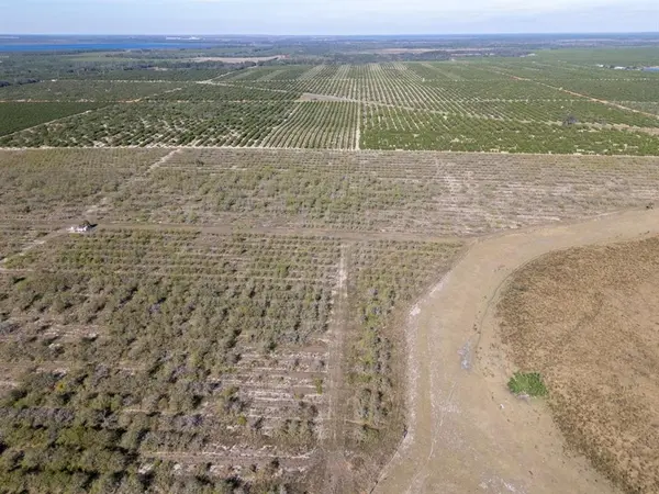 Avon Park, FL 33825,3073 CR 627