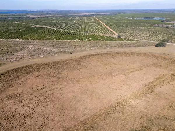 Avon Park, FL 33825,3073 CR 627