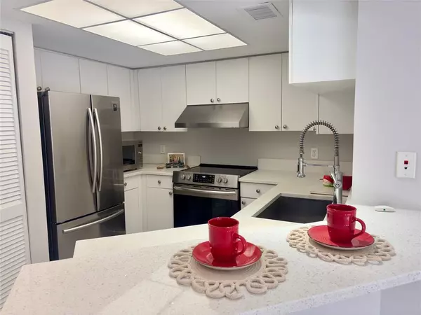 Fort Lauderdale, FL 33316,2119 SE 10th Ave #910