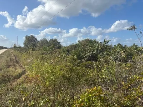 Okeechobee, FL 34972,15463 NW 256th St