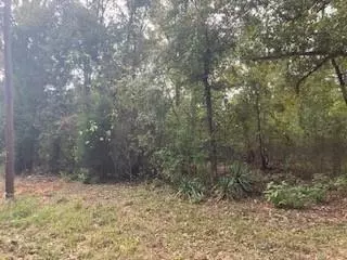 Log Cabin, TX 75148,TBD Daniel Boone Lane