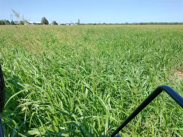 Clyde, TX 79510,TBD4 CR 223