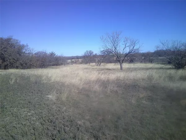 Chico, TX 76431,Tract 1 CR 1750