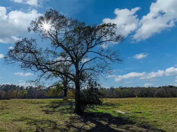 Palestine, TX 75801,0 An County Road 153