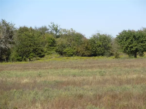 Bonham, TX 75418,TBD County Road 3040