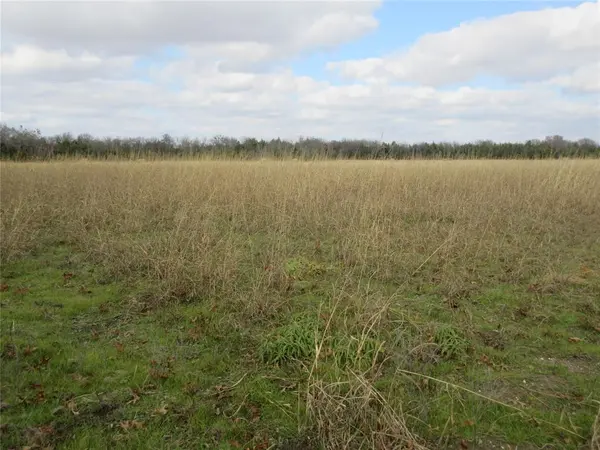 Bonham, TX 75418,TBD County Road 3040