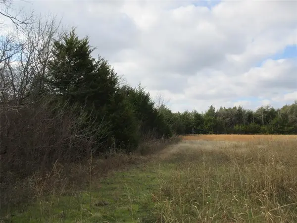 Bonham, TX 75418,TBD County Road 3040