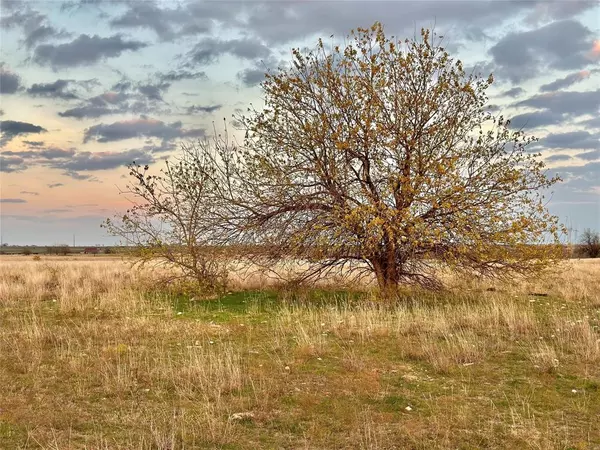 Gainesville, TX 76240,Lot 6 County Road 353