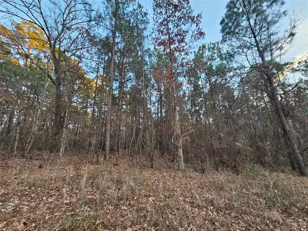 Gilmer, TX 75645,9557 Fm-726 S